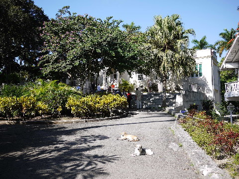 ハバナ郊外の広く小高い農園の中、眩しい木々の緑に囲まれ白亜の邸宅「フィンカ・ビヒア」はある。猫ならぬ2匹の犬が迎えてくれた。ヨーロッパからの旅行者も大勢来ていた。裏庭に愛艇「ピラール号」も展示されている。